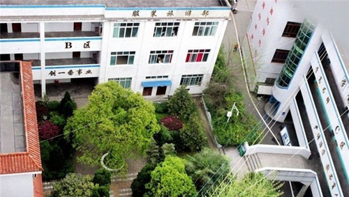 鳳岡縣中等職業(yè)學(xué)校(鳳岡職業(yè)高中)教學(xué)樓2