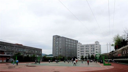 鳳岡縣中等職業(yè)學(xué)校(鳳岡職業(yè)高中)籃球場(chǎng)1