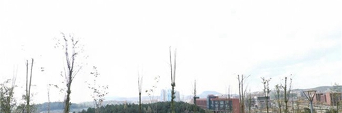 貴州輕工職業(yè)技術(shù)學(xué)院中專(zhuān)部宿舍樓小山1