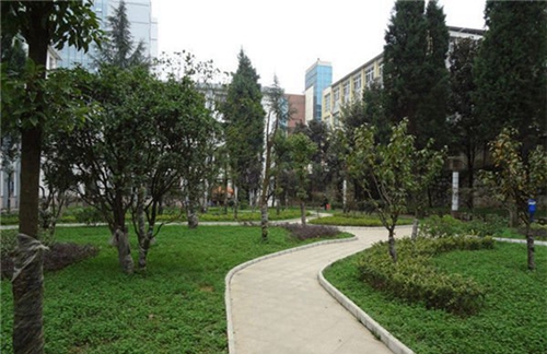貴陽(yáng)市白云區(qū)職業(yè)技術(shù)學(xué)校校園環(huán)境3