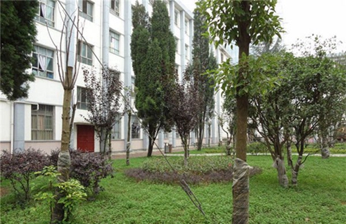 貴陽(yáng)市白云區(qū)職業(yè)技術(shù)學(xué)校校園綠化
