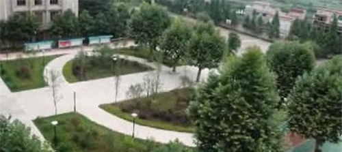 貴州省畜牧獸醫(yī)學(xué)校校園綠化2