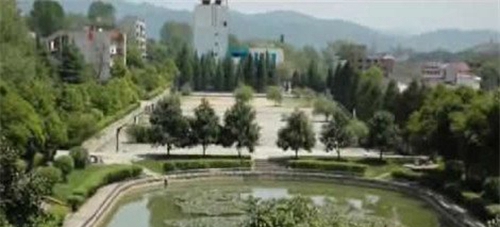 貴州省畜牧獸醫(yī)學(xué)校校園綠化3