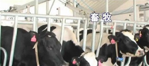 貴州省畜牧獸醫(yī)學(xué)校畜牧專業(yè)