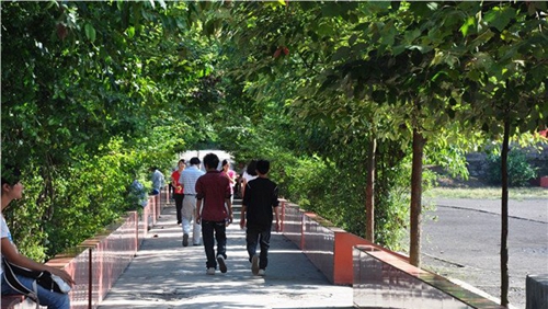德江縣中等職業(yè)學校(德江職校)林蔭道