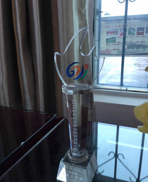 貴州省龍里中等職業(yè)學(xué)校職業(yè)技能大賽二等獎(jiǎng)