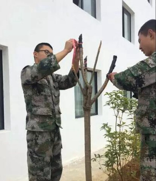 貴州國(guó)防軍事職業(yè)學(xué)校(貴陽(yáng)國(guó)防軍校)精心養(yǎng)護(hù)植物