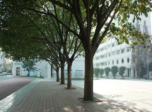 成都市洞子口職業(yè)高級(jí)中學(xué)塑膠跑道