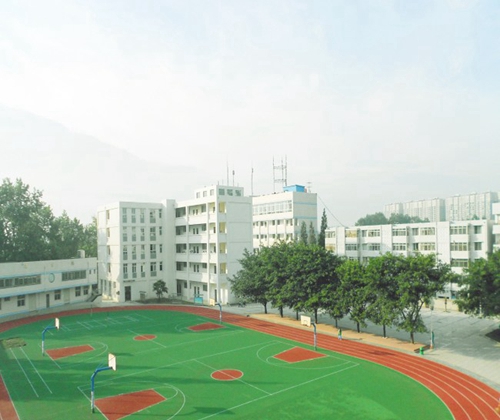 成都市洞子口職業(yè)高級(jí)中學(xué)塑膠籃球場