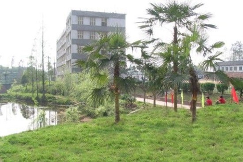 瀘州市天宇中等職業(yè)技術(shù)學(xué)校（天宇中專(zhuān)學(xué)校）校園環(huán)境