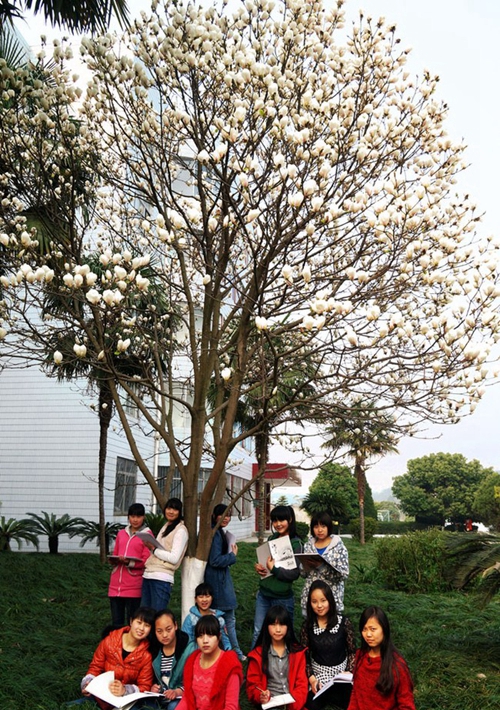 四川省三臺(tái)縣劉營(yíng)職業(yè)高級(jí)中學(xué)校（三臺(tái)職教中心）怒放的白玉蘭