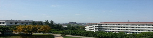 四川省綿陽職業(yè)技術(shù)學校校園綠化