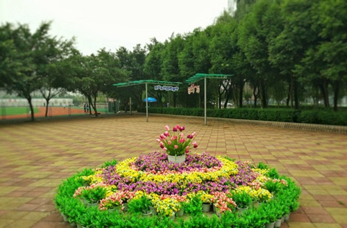 樂(lè)山市計(jì)算機(jī)學(xué)校音樂(lè)廣場(chǎng)