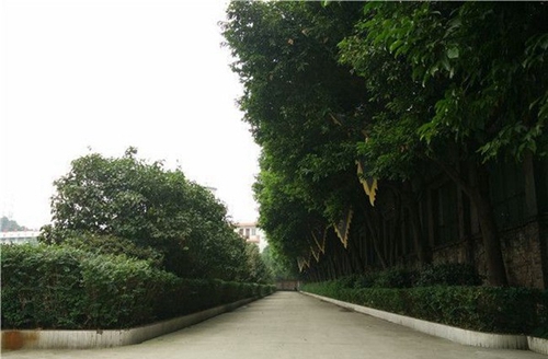 峨眉山文武學(xué)校校園風(fēng)貌