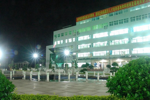 攀枝花市高級(jí)技工學(xué)校圖書(shū)館夜景