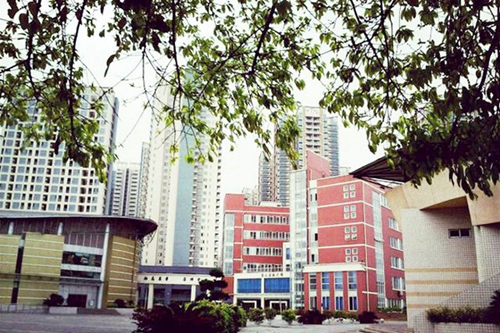 四川省衛(wèi)生學(xué)校龍泉校區(qū)第二實(shí)訓(xùn)樓和體育館（龍泉校區(qū)）