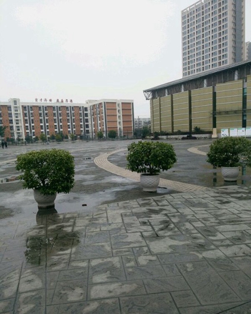 四川省衛(wèi)生學(xué)校龍泉校區(qū)校園廣場(chǎng)（龍泉校區(qū)）