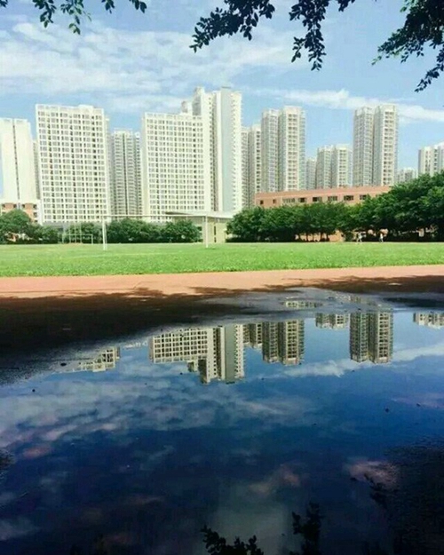 四川省衛(wèi)生學(xué)校龍泉校區(qū)運(yùn)動(dòng)場(chǎng)（龍泉校區(qū)）