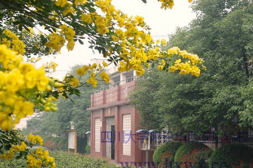 四川大學(xué)附設(shè)華西衛(wèi)生學(xué)校（成都華西衛(wèi)校）辦公樓一隅