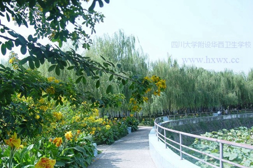四川大學(xué)附設(shè)華西衛(wèi)生學(xué)校（成都華西衛(wèi)校）荷塘一隅