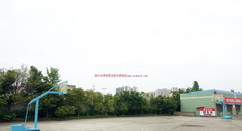 四川大學(xué)附設(shè)華西衛(wèi)生學(xué)校天府校區(qū)籃球場