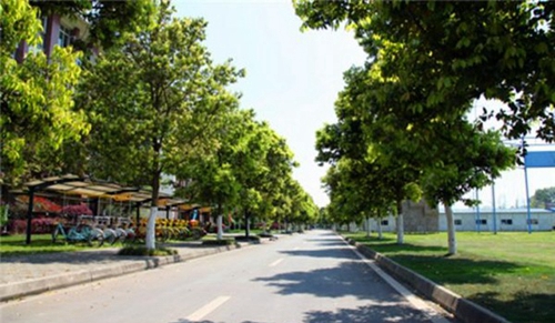 四川省旅游學(xué)校校園景區(qū)道路與游覽車