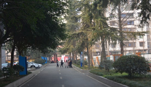 四川省崇州市職業(yè)中專(zhuān)學(xué)校蜀州路校區(qū)校園綠化