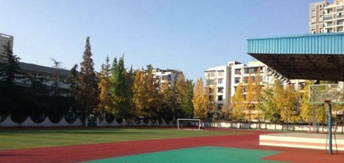 四川省崇州市職業(yè)中專(zhuān)學(xué)校蜀州路校區(qū)校運(yùn)動(dòng)場(chǎng)