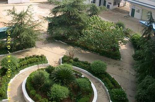 榮縣樂(lè)德職業(yè)中學(xué)校花園（3）
