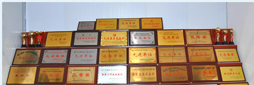 重慶市護(hù)士學(xué)校（魚洞護(hù)士學(xué)校）榮譽