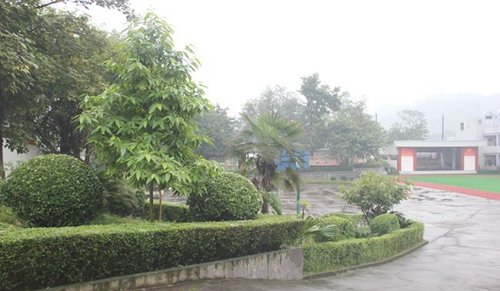 自貢市影視藝術學校（自貢影視學校）綠色青蔥