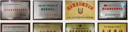 川大科技園職業(yè)技能學(xué)院榮譽