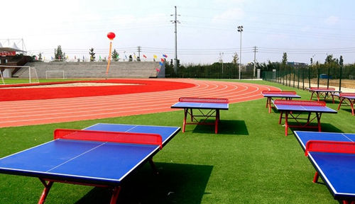 四川城市技師學院（四川城市職業(yè)學院）運動場
