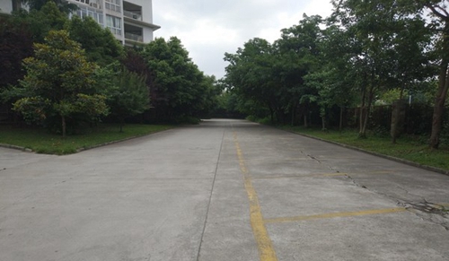樂(lè)山市醫(yī)藥科技學(xué)校龍泉：校園道路
