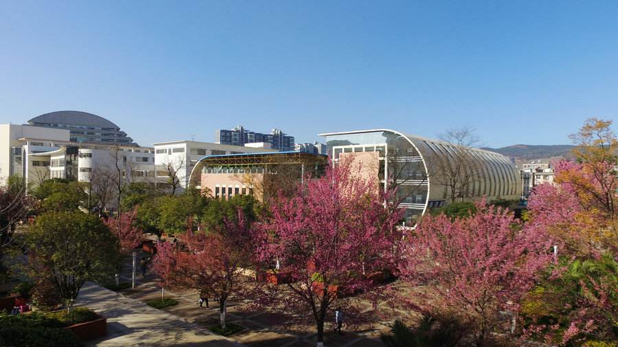 云南農業(yè)大學院校環(huán)境