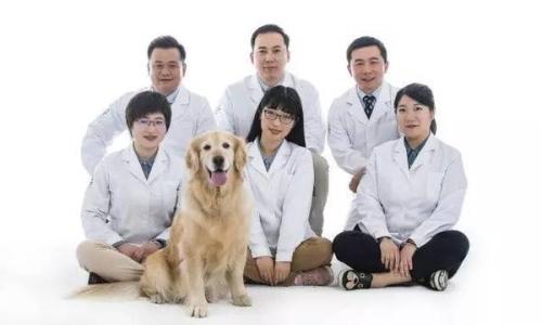 云南農(nóng)業(yè)大學(xué)動物醫(yī)學(xué)專業(yè)介紹