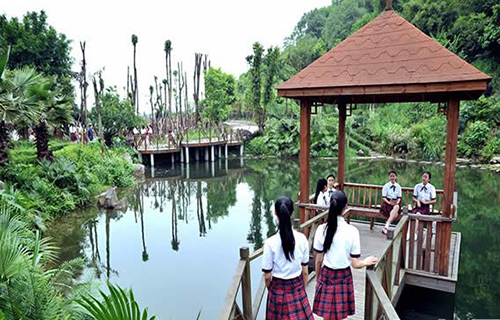 重慶女子職業(yè)高級中學(xué)校園風(fēng)景