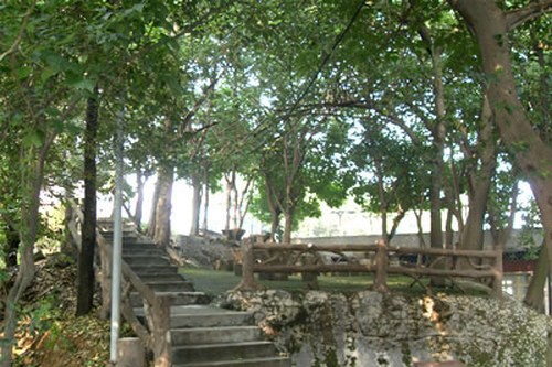 四川省鹽業(yè)學(xué)校林間小路