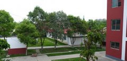 成都天府職業(yè)技術(shù)學(xué)校校園綠化