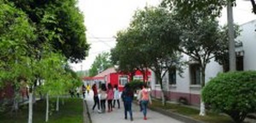 成都天府職業(yè)技術(shù)學(xué)校校園小道