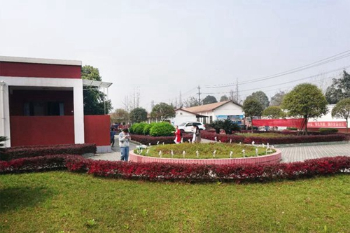 成都天府職業(yè)技術(shù)學(xué)校校園草坪
