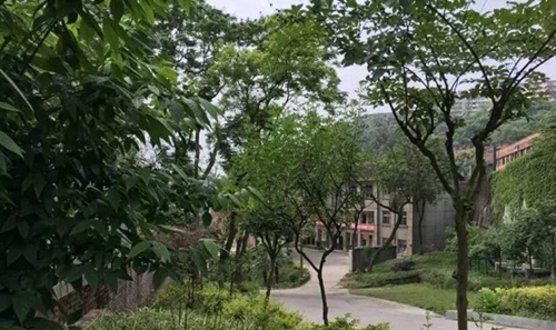 自貢市大安職業(yè)技術(shù)學(xué)校(大安職教中心)綠樹成蔭