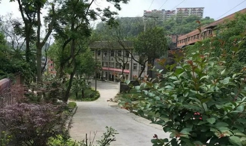 自貢市大安職業(yè)技術(shù)學(xué)校(大安職教中心)校園道路