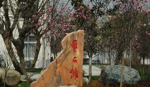 四川省商務(wù)學(xué)校校園石2