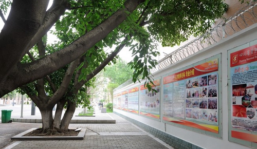 四川省資陽師范學(xué)校文化墻