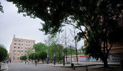 四川省資陽師范學(xué)校校園大道