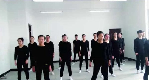 成都翰林職業(yè)技術(shù)學(xué)校節(jié)目表演