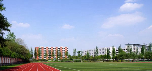 成都指南針職業(yè)技術學校足球場