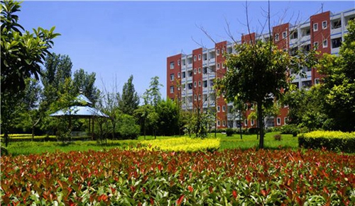 成都指南針職業(yè)技術學校后花園2