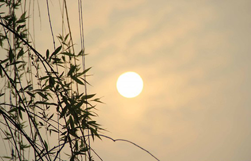 重慶行知職業(yè)技術(shù)學(xué)校夕陽(yáng)